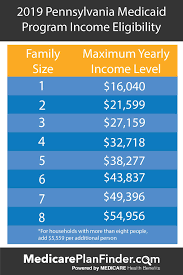 How to fill it out so it looks legitimate. Everything You Need To Know About The Pa Medicaid Program