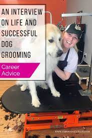 An Interview On Life And Successful Dog Grooming Pet Grooming Business Dog Grooming Business Dog Groomers