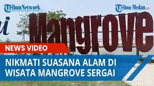 Sebagai salah satu taman nasional pertama di indonesia, taman nasional komodo telah memiliki berada di kawasan garis wallace menjadikan kawasan taman nasional indonesia satu ini zona. Nikmati Suasana Alam Di Wisata Mangrove Sergai Tawarkan Paket Edukasi Penanaman Mangrove Tribun Medan