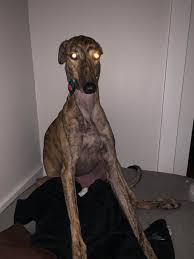 Anyone Else S Sleep Paralysis Demon Look Like This Longboyes