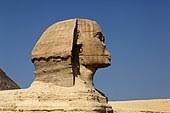 Um die sphinx ragen sich verschiedene, unbelegte geschichten. Grosse Sphinx Von Gizeh Wikipedia