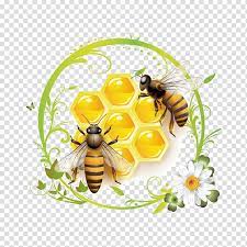 Pin By Mitchel Coombs On Bee Inspired Honey Bee Drawing Bee Drawing Bee Painting