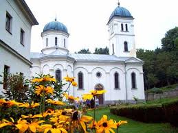 No one has written a comment about v cesi od petkovica ipo1. Turisticka Organizacija Grada Sapca Manastir Petkovica
