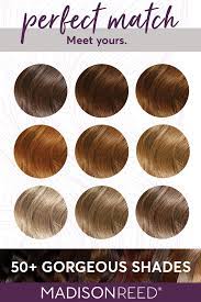 Meet Your Perfect Light Hair Color Match Ash Blonde Honey Brown Copper Blonde Hair Col Perfect Hair Color Cinnamon Hair Colors Light Golden Brown Hair Color