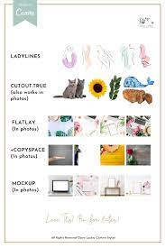 X being the horizontal coordinate and y being the vertical coordinate. Pin On Canva