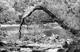 Agfa apx 400 is a punchy fast monochrome that gives photos a crisp style perfectly suited to lomography. Beispielbilder Agfa Apx 400 New Iso 800 30 In Spur Ultraspeed Vario Spur Photo