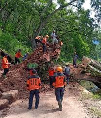 Lebih tepatnya, danau ini berada di perbatasan antara ponorogo dan juga kabupaten madiun. Pohon Raksasa Di Telaga Ngebel Tumbang Suara Kumandang