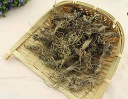 Image result for Elephantopus scaber