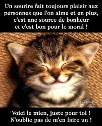 By unknown nov 2011 458 views. Bon Dimanche Humour Drole Et Animaux Facebook