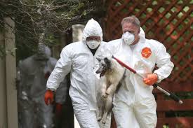 Hot springs county, thermopolis, wy. Police Remove An Estimated 80 Animals From West Casper Property Cops Courts Trib Com