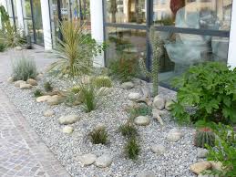 Epingle Sur Plante Jardin