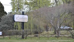 Shallots grow to about 8 inches (20cm) tall in a clump with narrow green leaves and roots that look like small onions, about ½ inch (12mm) in diameter at maturity. Food And Wine Duo Take Over Eschalot In Berrima Southern Highland News Bowral Nsw