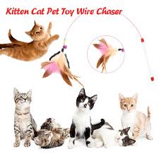 Large predatory animals that prey on cats include cougars, wolves, and coyotes. Funny Cat Kitten Pet Teaser Feather Wire Chaser Toys Wand Feather Bell Play Rods Toys Patterer Pet Supplies