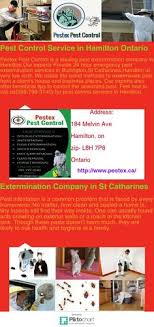 When annoying pests have invaded your space, give avid pest services in hamilton ontario a call. Pestex Pest Control Pestexpest Profile Pinterest