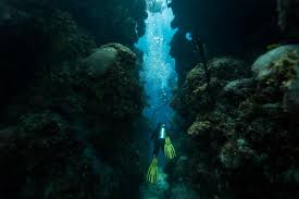 We Now Know What S At The Bottom Of Belize S Blue Hole Lonely Planet