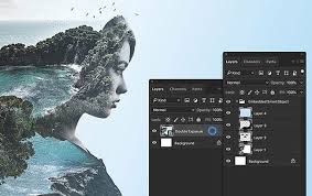 Image result for Arts Graphic Design Software