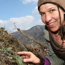 Die Wachau mit Insidern entdecken