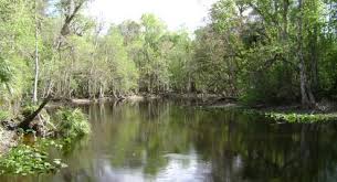 Waterfront land in colorado trout fishing property and / or colorado fly fishing property or land for fly fishing for trout. Florida Land Sale Ocala National Forest Private Lots