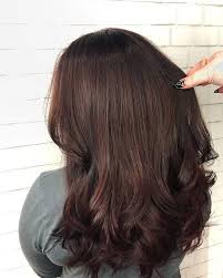 This hair color has a very deep red punctuated by some cool brown or blue shades. Chocolate Cherry Hair Popsugar Beauty