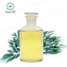 Maybe you would like to learn more about one of these? Chinese Supplier Eucalyptus Citriodora Oil Lemon Eucalyptus Oil Buy Lemon Eucalyptus Oil For Food Flavor Oil Of Lemon Eucalyptus Natural Lemon Eucalyptus Essential Oil Product On Alibaba Com