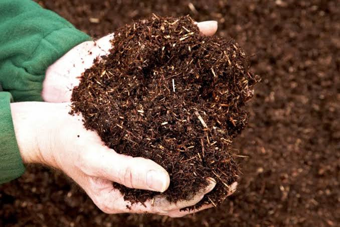 Xử Lý Khí Amoniac Công Nghiệp - Giải Pháp An Toàn 2025