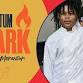 SPARK:  A night of Momentum event image