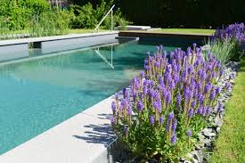 Naturpool Im Garten Besser Spat Als Nie Schwimmbad De Natur Pool Pool Natur