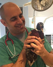 Our Team I Long Island Avian & Exotics Pet Veterinary Clinic