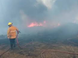En zonaprop tenemos 24 depósitos en venta en tigre, tigre. Incendios Forestales Afectaron Sistema Electrico En El Tigre Ultimas Noticias