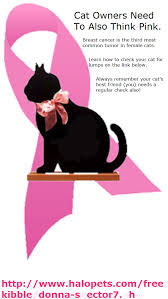A lump that feels different from your breast's normal lumpiness, like discovering a pebble in your. Pin On Meow Monday Caturday