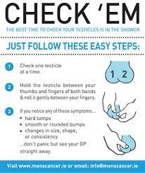 Symptoms of testicular cancer may include: Testicular Cancer Macho