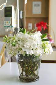 The hospital has all the items that may be required including pillows, toiletries etc, we ask that you also reconsider sending flowers, gifts and other items at this time. Blumen Im Patientenzimmer Im Krankenhaus Stockfotos Freeimages Com