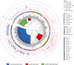 Image result for Striga baumannii