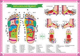 reflexology chart