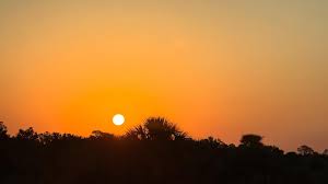 Myzel Perez | Freedom Comes With a Signal Bar 💻💼👩‍💻 Remote work doesn't  mean endless vacation. It means juggling: • Wi-Fi signals that fade  mid-Zoom... | Instagram