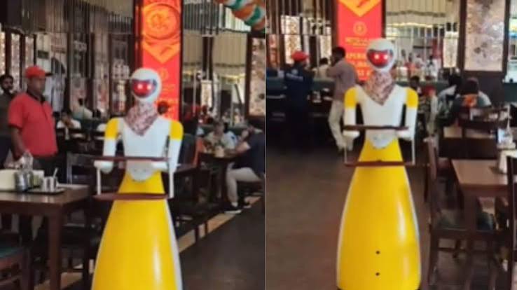 Viral Video: मुरथल में इंसान नहीं रोबोट परोस रहे पराठे, सोशल मीडिया पर वायरल हुआ वीडियो - robot waiter serves food at haryana murthal dhaba video goes viral | Moneycontrol Hindi