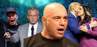 The intellectual dark web just won the election!': meet the coalition of  Joe Rogan, RFK Jr, Tulsi Gabbard and Elon Musk