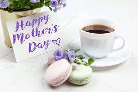 Spoil Your Mother This Month Online Shopping Sa Garden And Home It endeavors to provide the products that you want, offering the best bang for your buck. garden and home