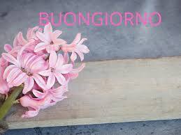 Fai auguri originali di buon compleanno a un tuo amico, parente o collega inviando una bella cartolina virtuale! Buongiorno Con I Fiori Piu Di 60 Immagini E Un Video Da Dedicare Passione Mamma
