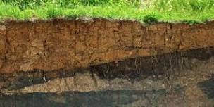 Make Sense of Your Soil Test with Ed Scott