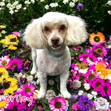 Kayla Borel's Instagram, Twitter & Facebook