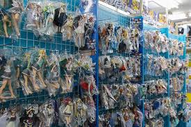 Manga comics & graphic novels. Raina S Japan Travel Journal Subculture In Ikebukuro