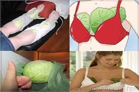 Despues De Leerte Este Post Vas A Utilizar Hojas De Col Remedios Para El Alma Dolor De Cabeza Frecuente Tengo Dolor De Cabeza Dolores De Cabeza