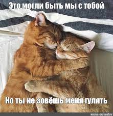 Мем: "Это могли быть мы с тобой Но ты не зовёшь меня гулять" - Все шаблоны  - Meme-arsenal.com