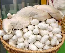 Check spelling or type a new query. Kenali Lebih Dalam 8 Jenis Serat Kain Alami Dan Buatan Di Baju Yang Anda Pakai