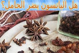 هل اليانسون يضر الحامل food breakfast cereal