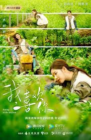 我喜欢你 / wo xi huan ni. Mainland Chinese Drama 2020 Dating In The Kitchen æˆ'å–œæ¬¢ä½  Mainland China Soompi Forums