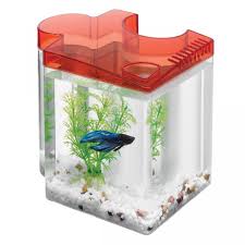 40,560 likes · 461 talking about this. Aqueon Betta Puzzle Aquarium Kit Red Petoverstock
