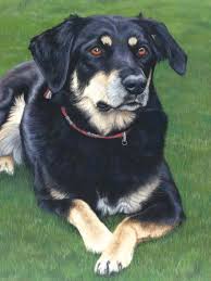 We did not find results for: How Much Do Pet Portraits Cost Find The Price For Your Pet Portrait Here Sarahs Pet Portraits