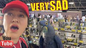 Our Bird Store is Closing Forever!